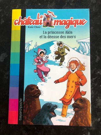 Livre le château magique