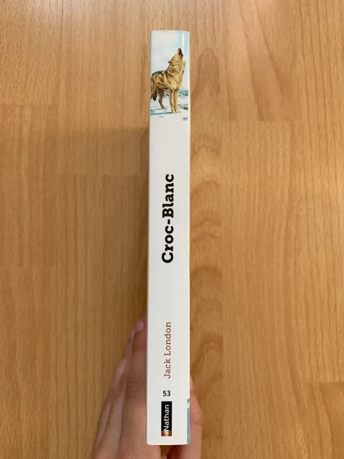 Roman Croc-Blanc - photo numéro 3