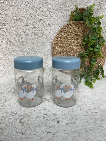 Lot de 2 pots en verre avec couvercle - Le parfait 