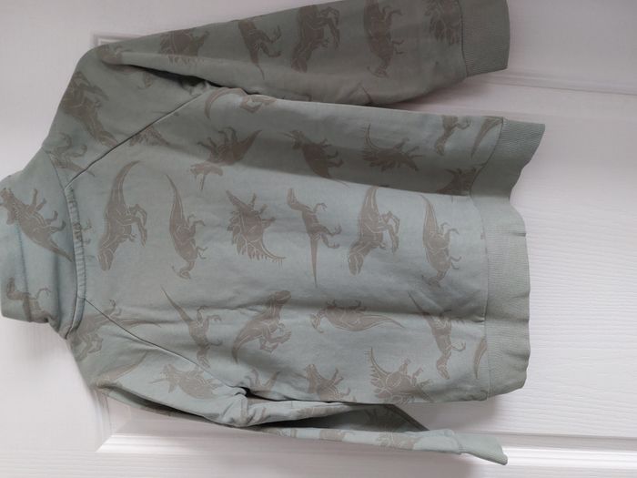 Pull vert dinosaure 10 ans - photo numéro 2