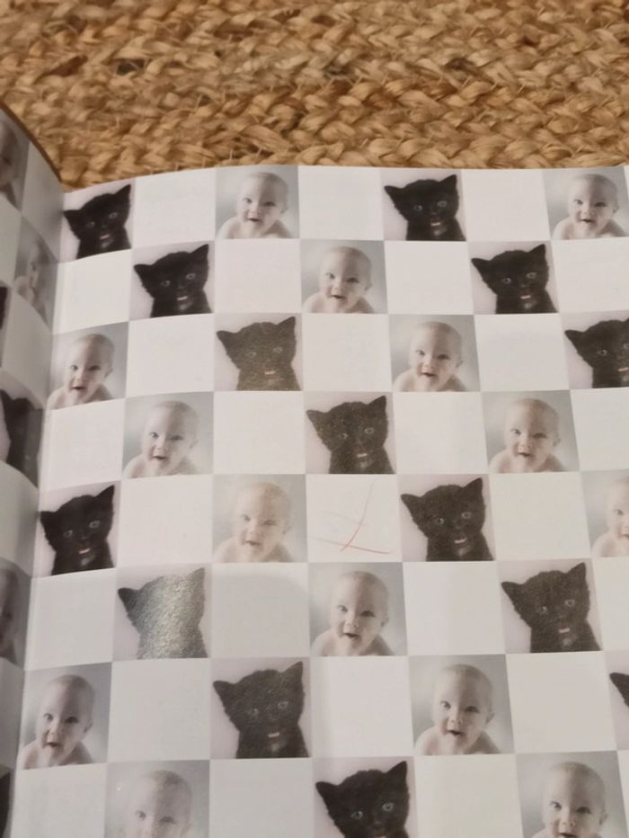 Livre Mon Petit chat - photo numéro 2