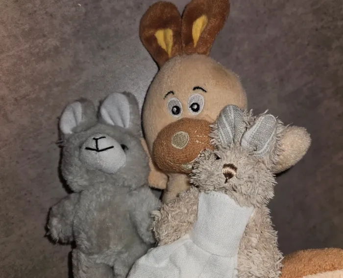 Lot de 3 peluches lapins – 2 petites + 1 moyenne Fizzy – bon état - photo numéro 2
