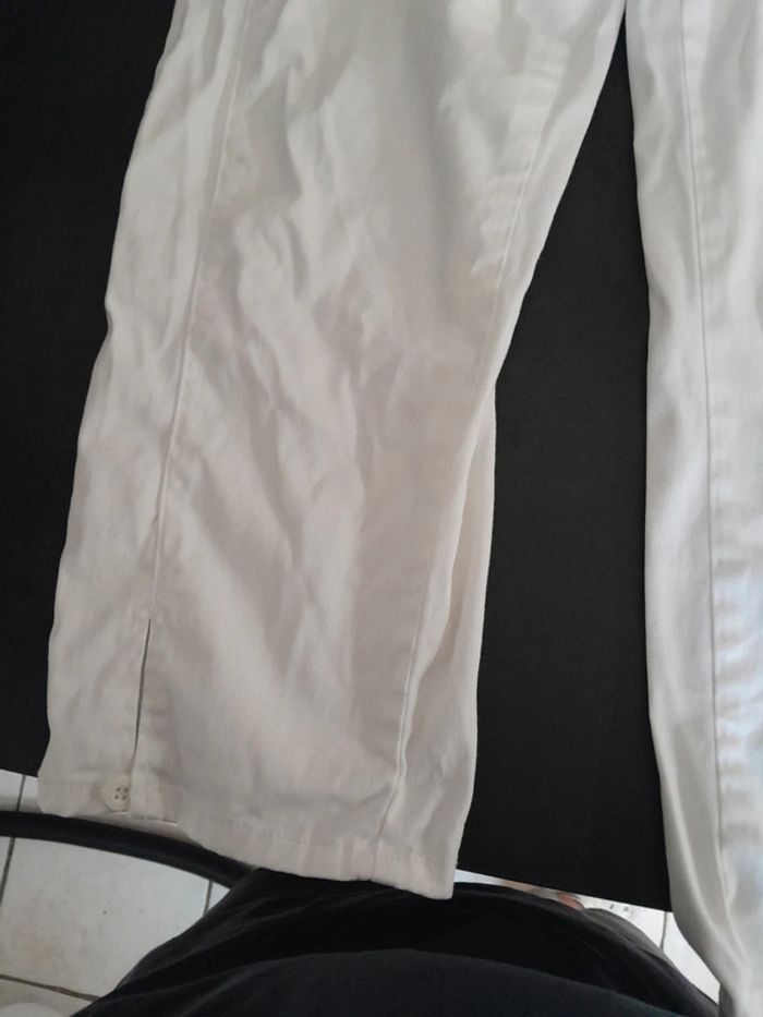 Pantacourt - photo numéro 3