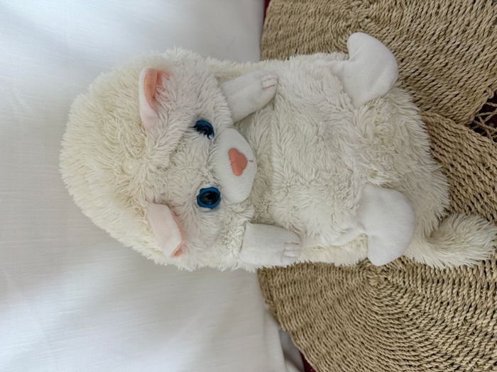 doudou chat persan blanc peluche cali pets dujardin - photo numéro 5