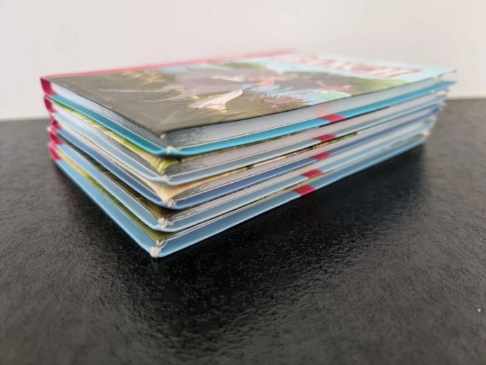 Lot de 5 livres "Le Ranch" - photo numéro 4