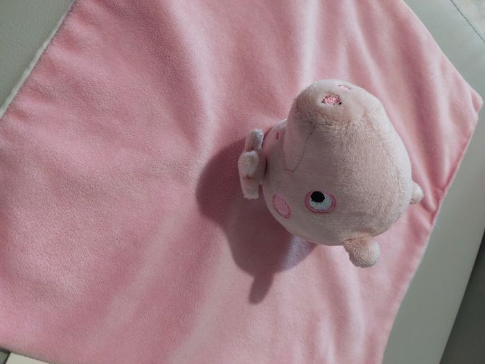 Peppa pig - photo numéro 2