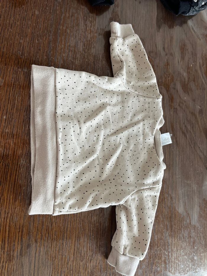 Pull 1 a 2 mois - photo numéro 3