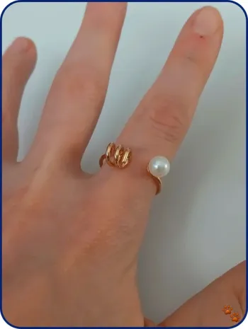 Bague dorée en acier inoxydable