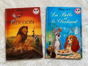 Lot de 2 livres Disney