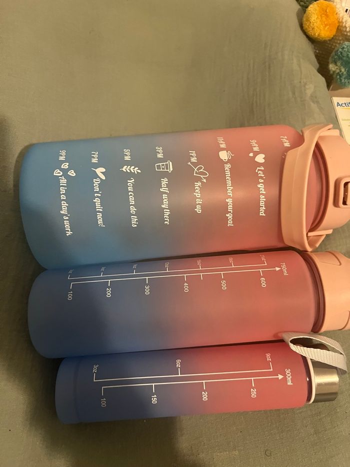 3 gourdes  de différentes tailles - photo numéro 2