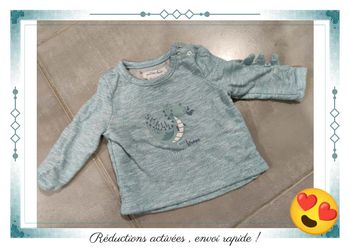Pull bébé dinosaure édition limitée