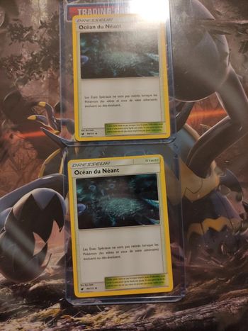 Océan du néant X2 dresseur invasion carmin