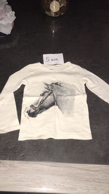 Teeshirt manches longues cheval