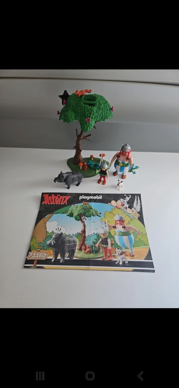 Playmobile asterix 71160