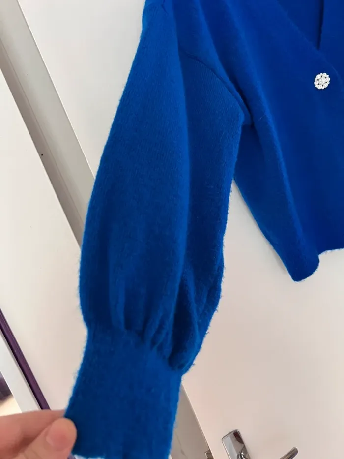 Gilet court pour femmes ,pour l’hiver unique - photo numéro 2