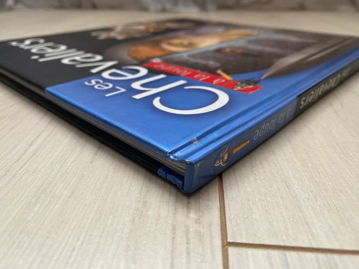 Livre Les chevaliers à la loupe - photo numéro 8