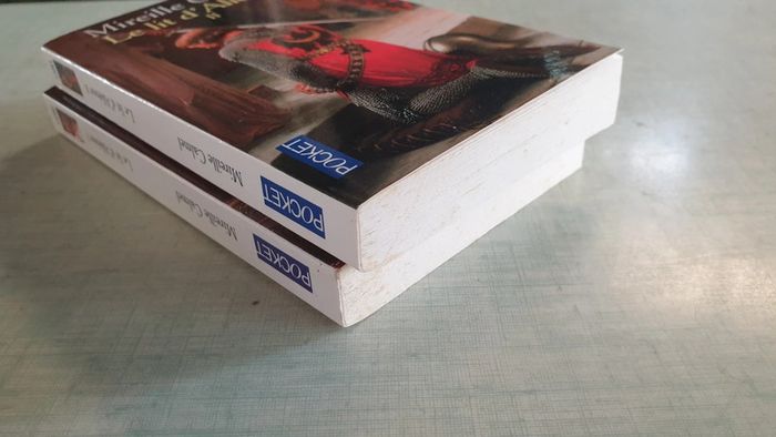 Lot de 2 livres le lit d'aliénor - photo numéro 4