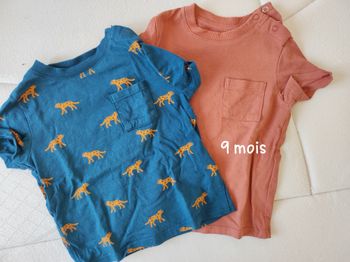 Lot de deux tee shirt 9 mois