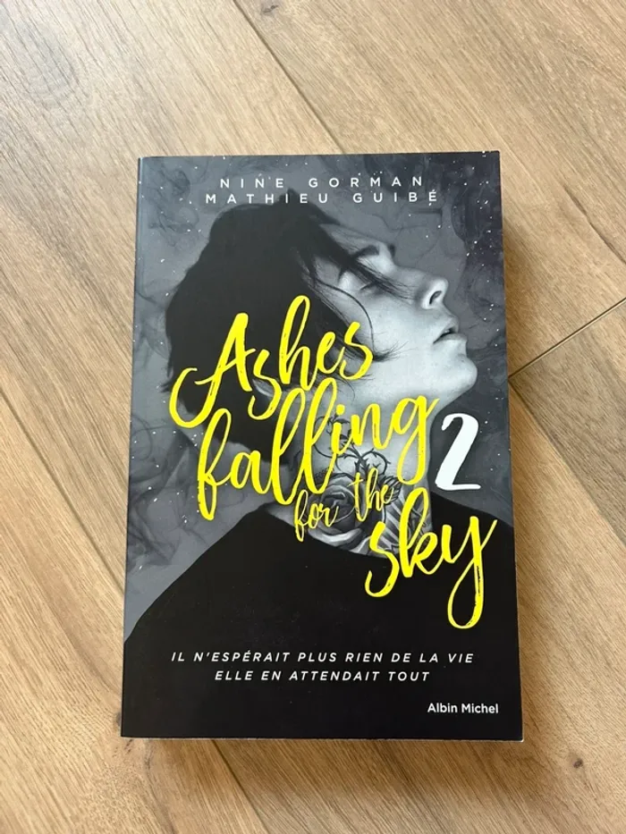 Livre ashes falling for the Sky 2