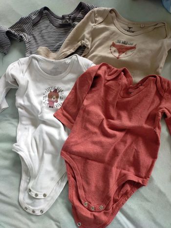 Lot 4 bodies manches longues 24 mois