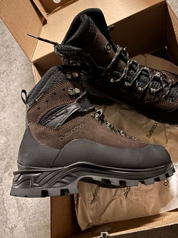 Chaussure Cevedale GTX FR