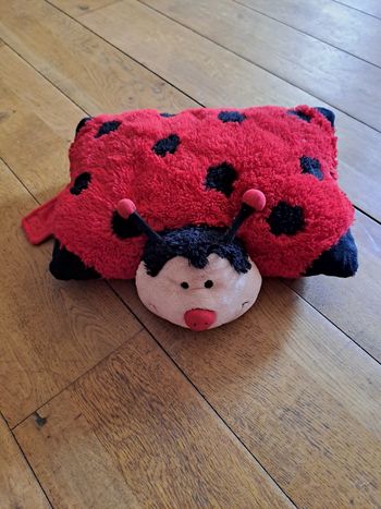Coussin peluche