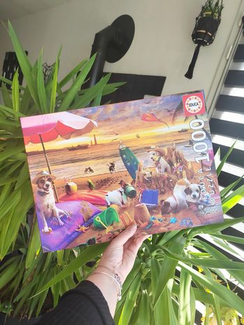 Puzzle 1000 pièces – Chiens Jouant sur la Plage – Complet – Educa