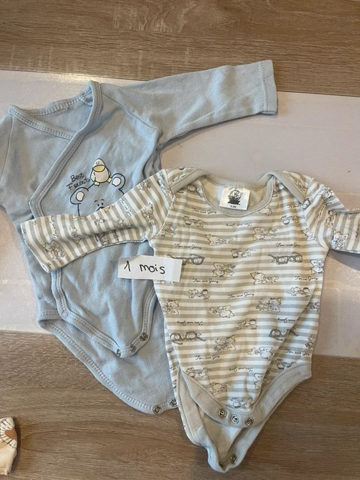 Lot de bodys - photo numéro 2