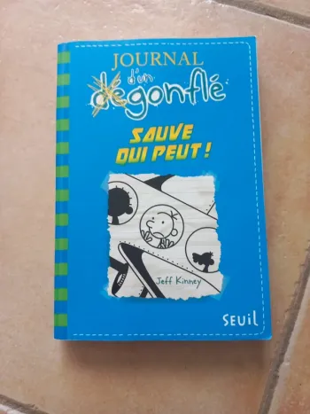 Journal d'un dégonflé tome 12
