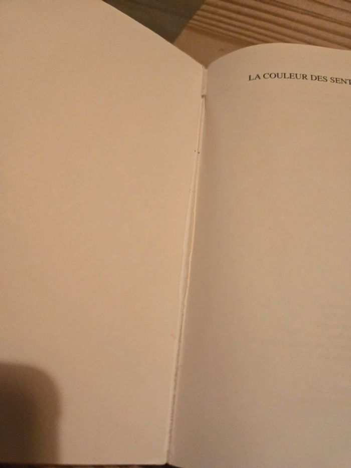 La couleur des sentiments - photo numéro 2