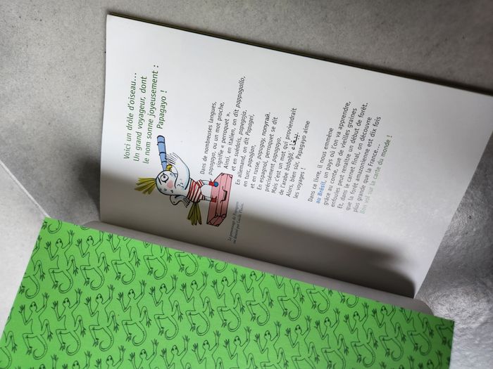 Livre enfant : Israël et la forêt interdite - photo numéro 3