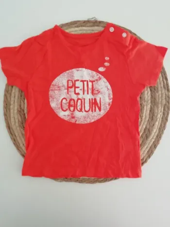 Tee shirt 12 mois