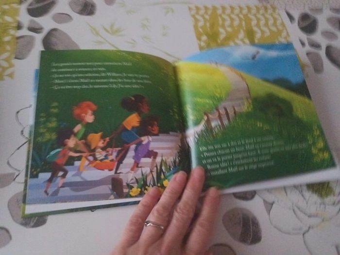 Livre Mcdo : Le dragon des volcans d'Auvergne - photo numéro 4