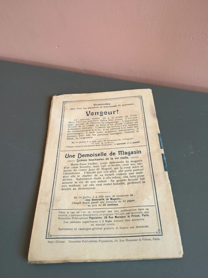 Comtesse et mendiante la destinée roman - photo numéro 2