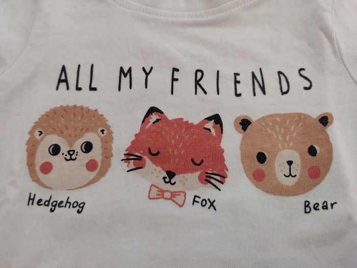 Ensemble Orchestra - photo numéro 5