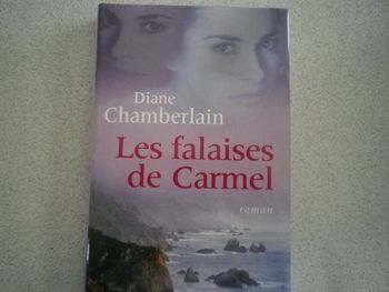 LES FALAISES DE CARMEL