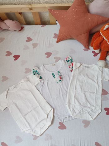 Lot de 3 bodies - 74/80 cm - Neuf - Zeeman/Shein