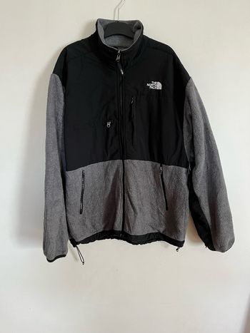 Polaire the north face