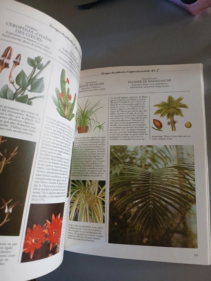 🍍 Livre Les plantes d intérieur - photo numéro 7