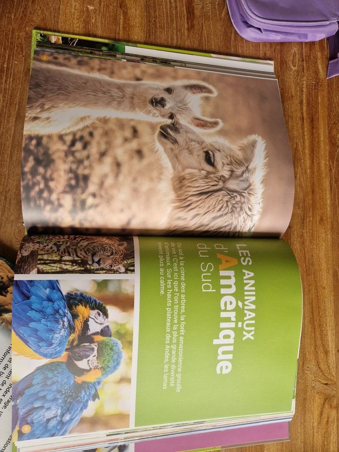 Lot de 2 livres animaux - photo numéro 5