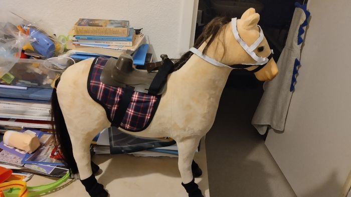 Cheval enfant - photo numéro 3