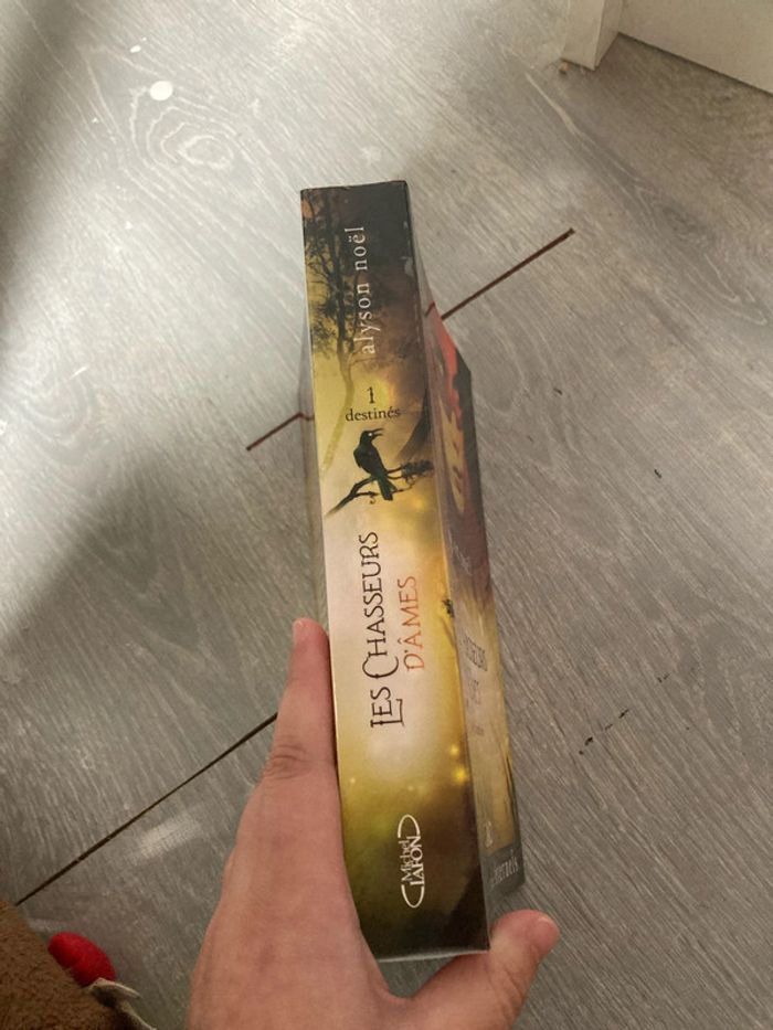 Les chasseurs d’âmes tome 1 - photo numéro 5