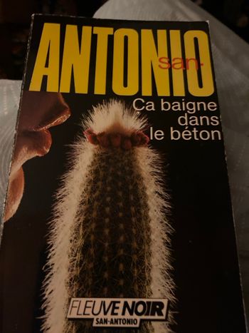 Livre  Antonio  ça baigne dans le béton