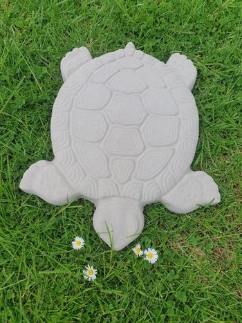 Idée cadeau de Noël 🎄 Tortue neuf 🐢