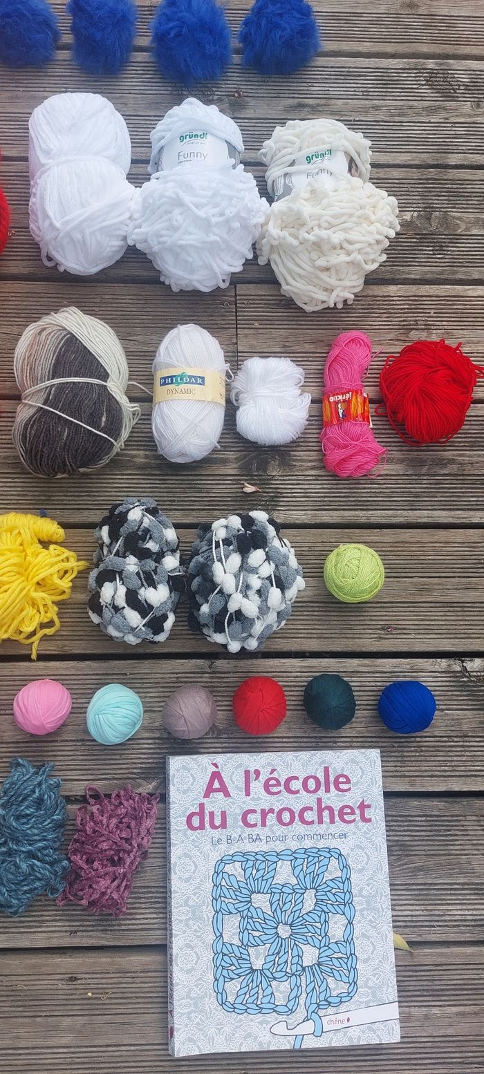 Lot pelotes crochet livre apprentissage - photo numéro 3