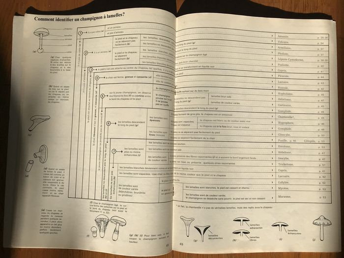 La vie des plantes - Collection Raymond Tavernier - photo numéro 4