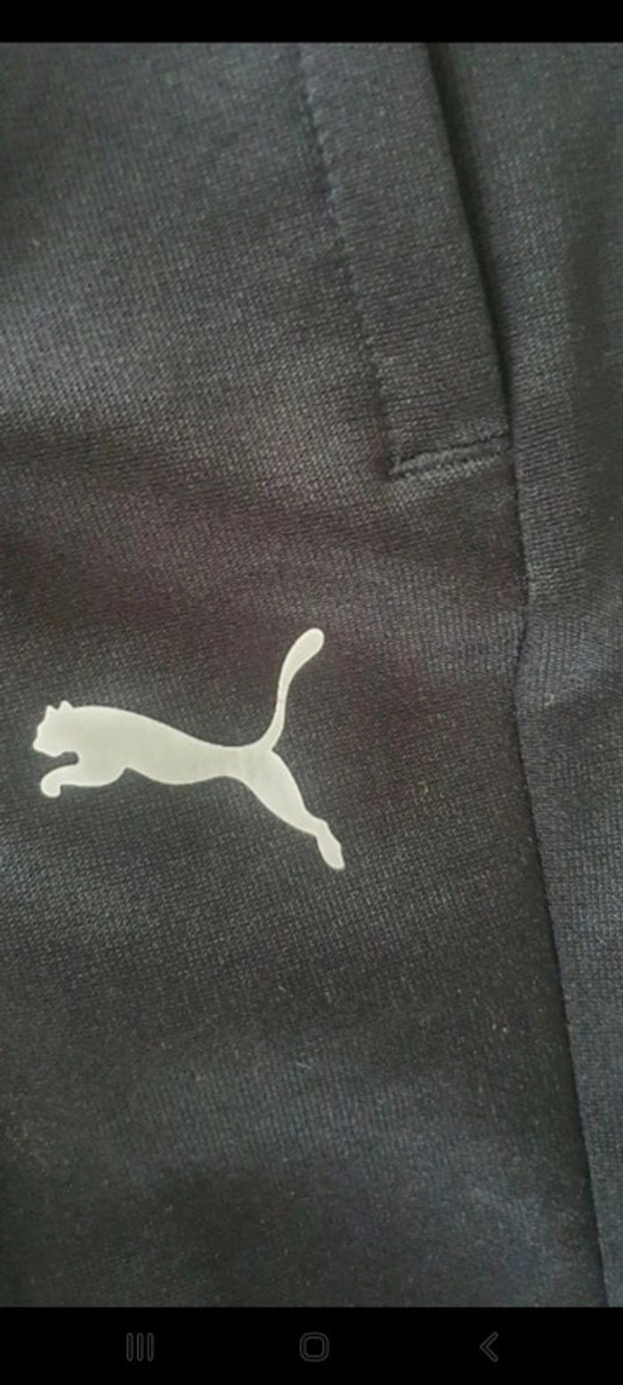 Survêtement puma amg Mercedes - photo numéro 3