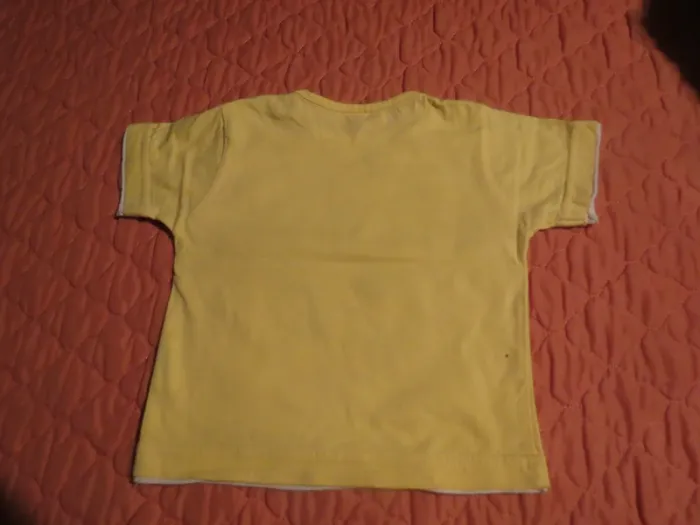 T-shirt taille 9 mois garçon - photo numéro 3
