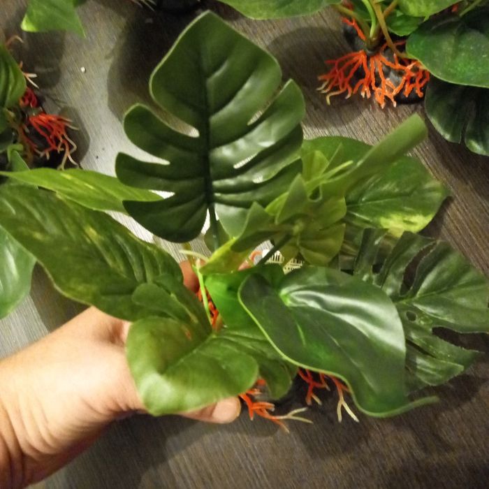 4 x decos pour aquarium - photo numéro 3