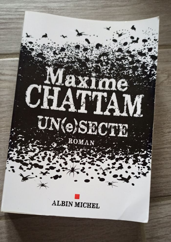 🌞 Livre Maxime Chattam une secte 🌞